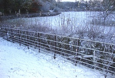 6 rail stock fence